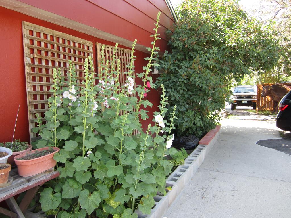 Big Horn Motel Buffalo Exterior foto